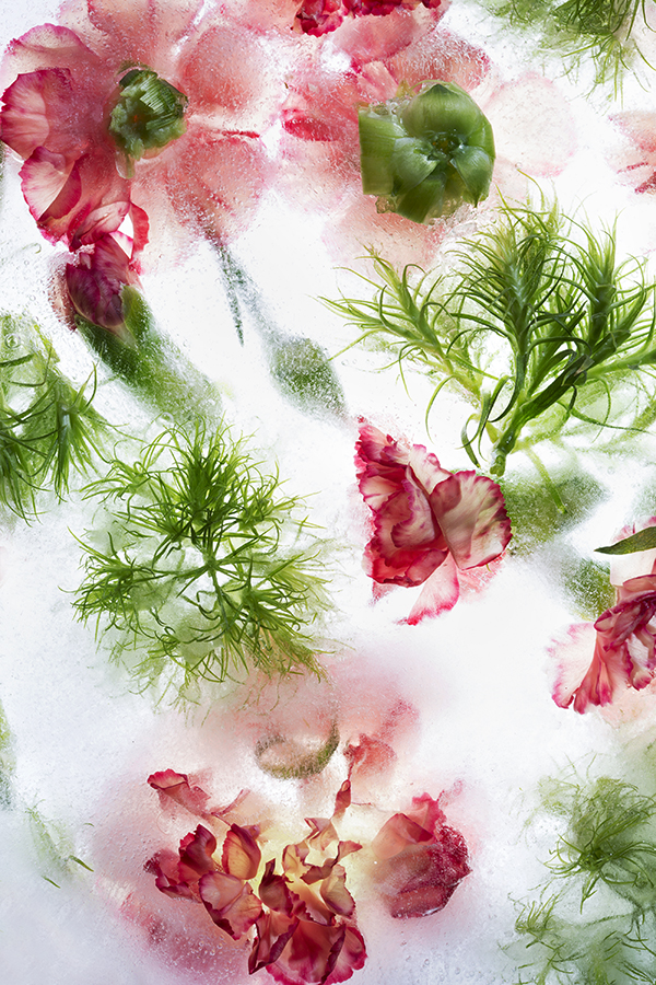 Plant life
